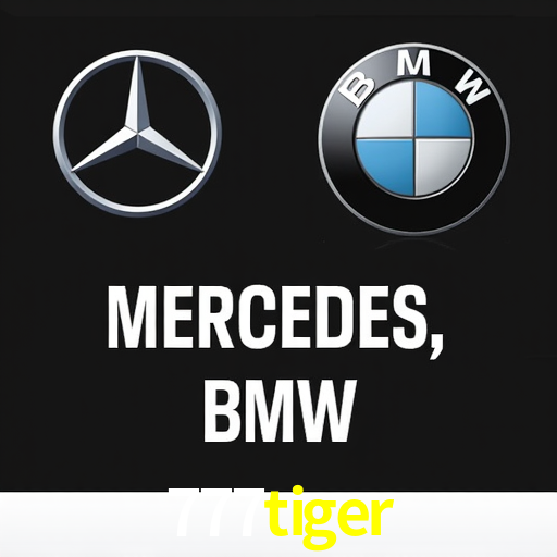 Experiência VIP 777tiger